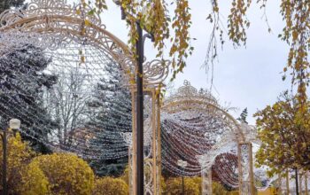 Бюро путешествий «Континенталь» | Краснодар + Абрау-Дюрсо. Зима. Бюро путешествий «Континенталь» |